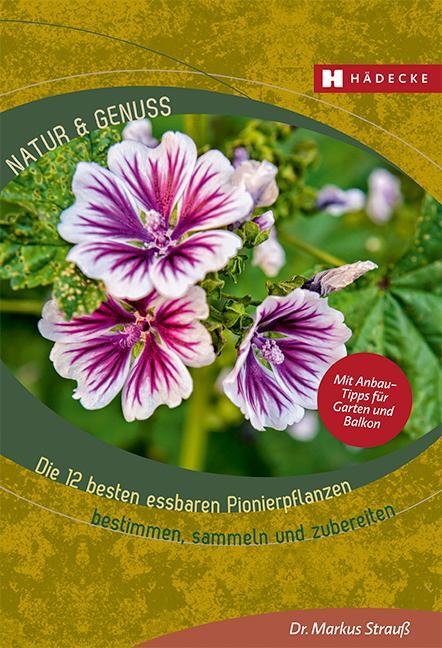 Cover: 9783775008228 | Die 12 besten essbaren Pionierpflanzen | Markus Strauß | Taschenbuch