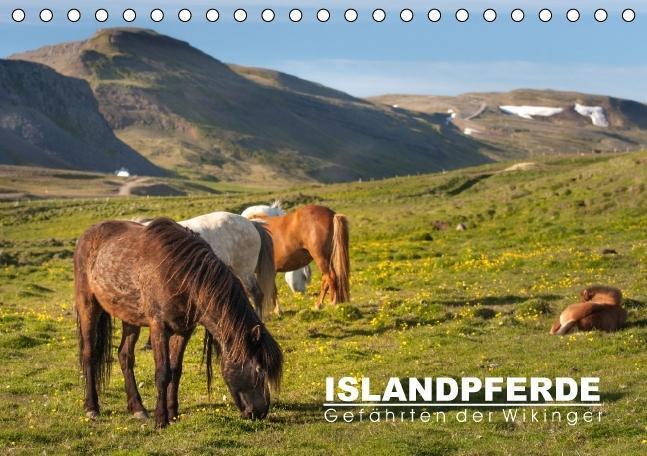 Cover: 9783664659449 | Islandpferde: Gefährten der Wikinger (Tischkalender immerwährend...