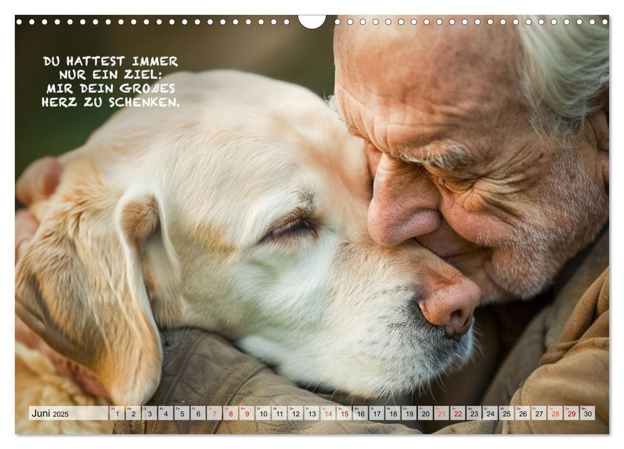 Bild: 9783457165621 | Hunde und berührende Sprüche (Wandkalender 2025 DIN A3 quer),...