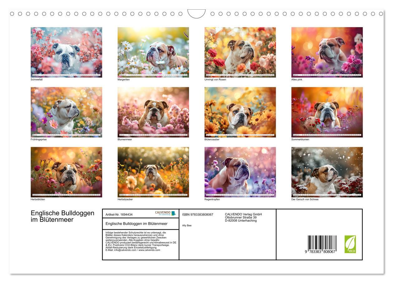 Bild: 9783383808067 | Englische Bulldoggen im Blütenmeer (Wandkalender 2025 DIN A3 quer),...