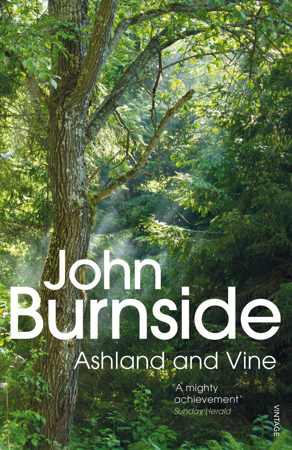 Cover: 9780099554936 | Ashland &amp; Vine | John Burnside | Taschenbuch | 342 S. | Englisch