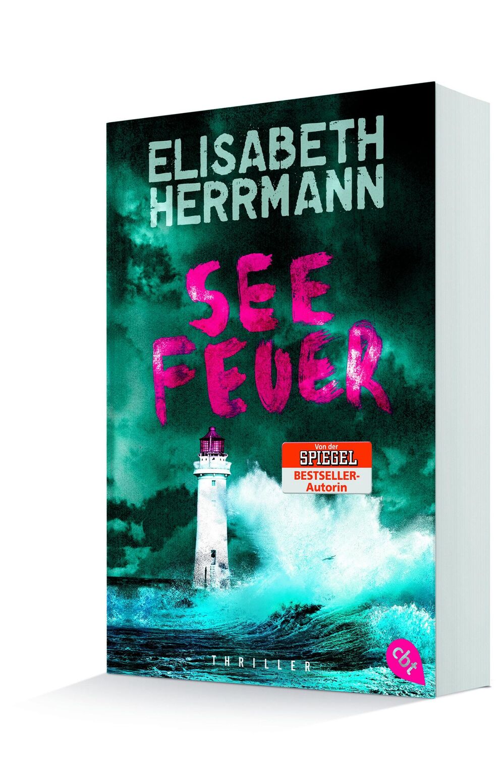 Bild: 9783570310632 | Seefeuer | Elisabeth Herrmann | Taschenbuch | 416 S. | Deutsch | 2016