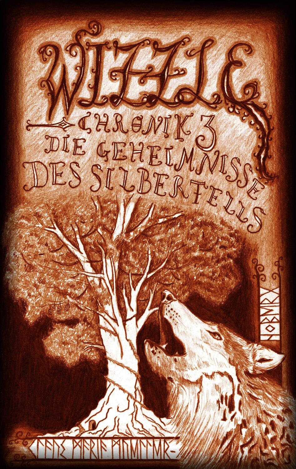 Cover: 9783756812493 | Die Geheimnisse des Silberfells | Klaus Maria Müller-Hoberg | Buch