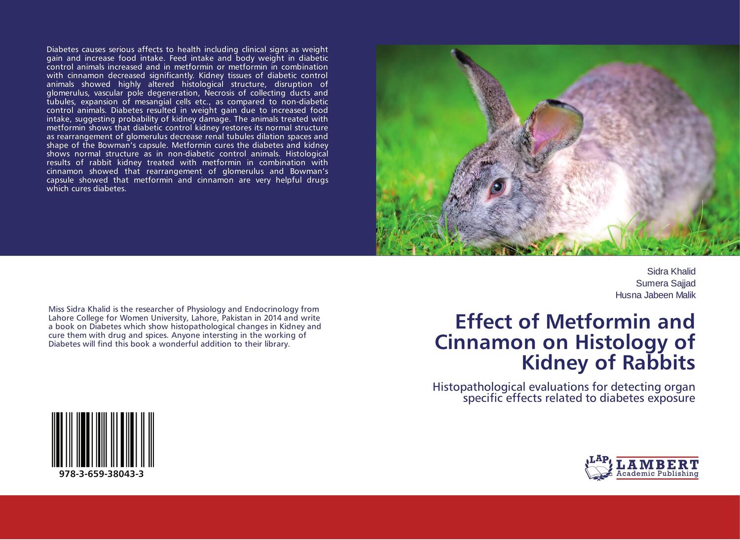 Cover: 9783659380433 | Effect of Metformin and Cinnamon on Histology of Kidney of Rabbits