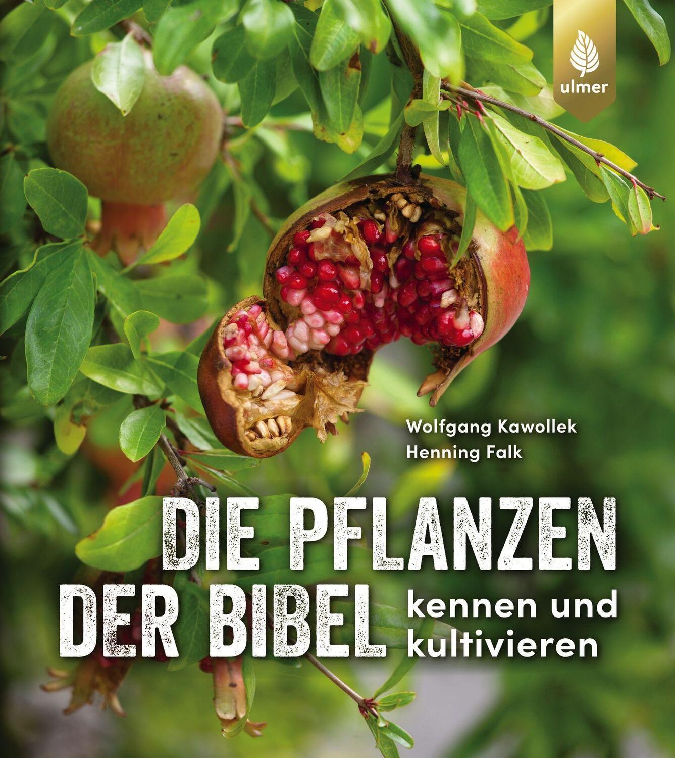 Cover: 9783818612993 | Die Pflanzen der Bibel | kennen und kultivieren | Kawollek (u. a.)