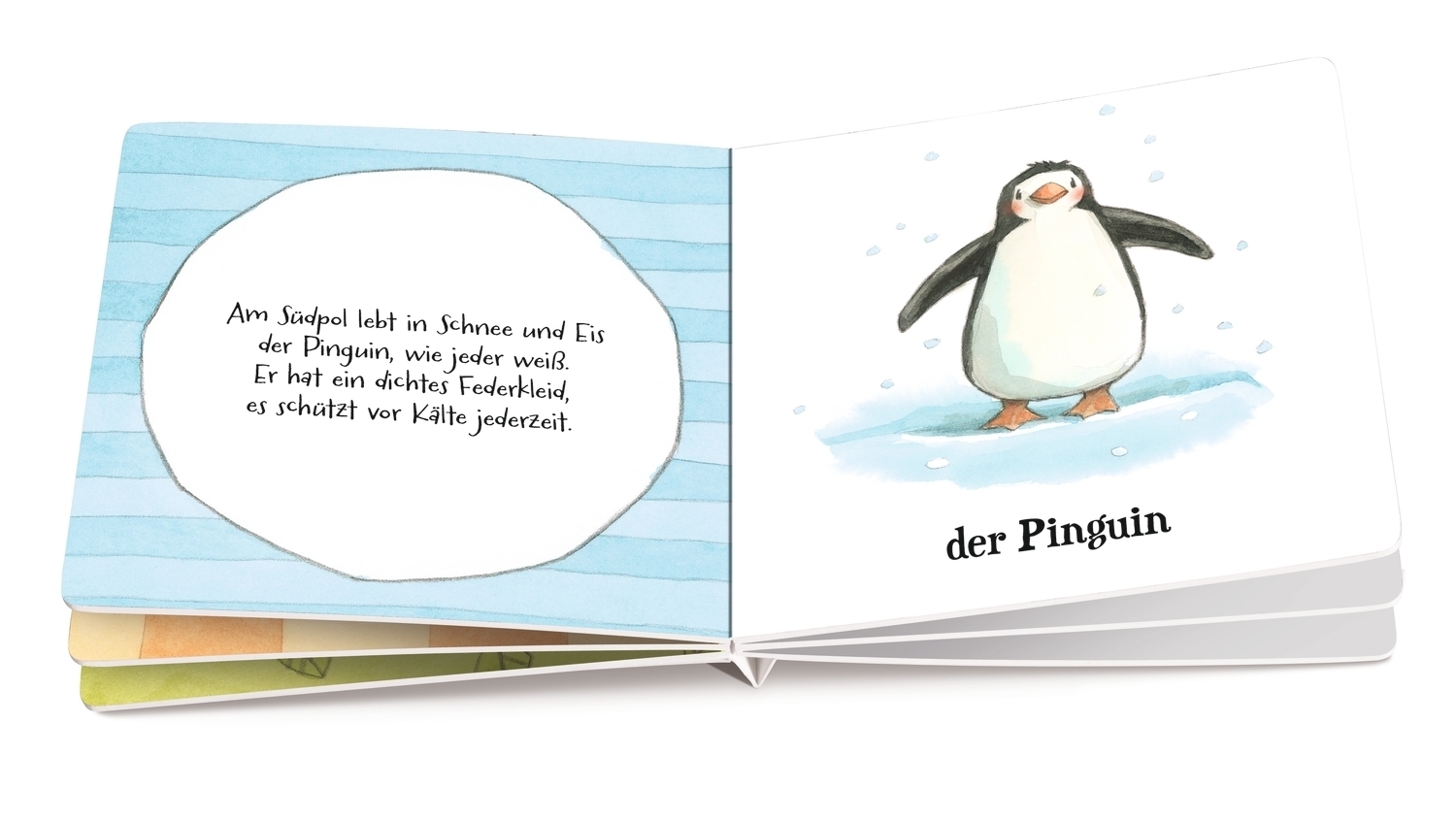 Bild: 9783789114656 | Erste Wörter - Erste Reime. Tiere | Carla Häfner | Buch | Unzerr.