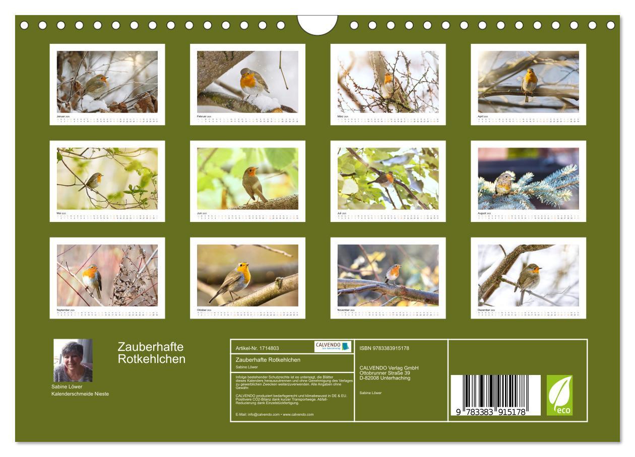 Bild: 9783383915178 | Zauberhafte Rotkehlchen (Wandkalender 2025 DIN A4 quer), CALVENDO...