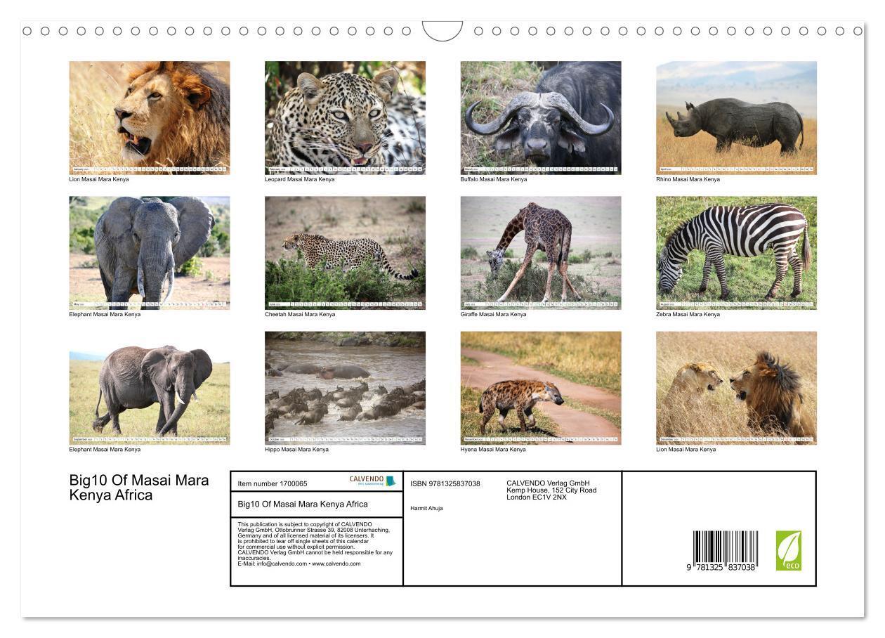 Bild: 9781325837038 | Big10 Of Masai Mara Kenya Africa (Wall Calendar 2025 DIN A3...