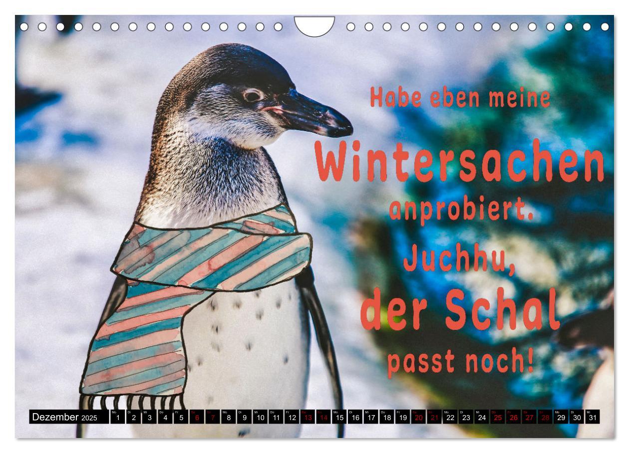 Bild: 9783435088669 | Spruchreif - Gute-Laune-Kalender (Wandkalender 2025 DIN A4 quer),...