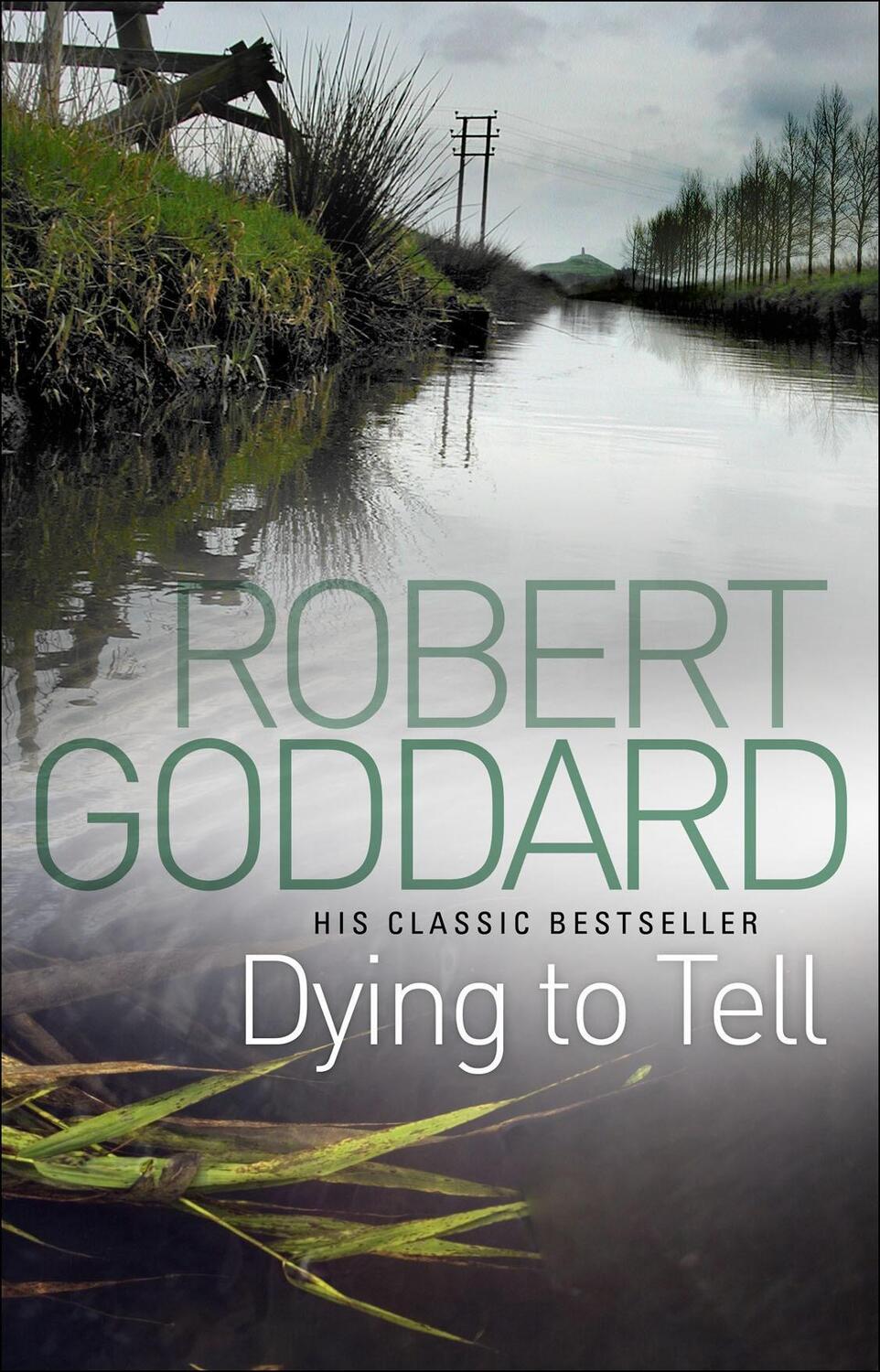 Cover: 9780552164986 | Goddard, R: Dying To Tell | Robert Goddard | Taschenbuch | Englisch
