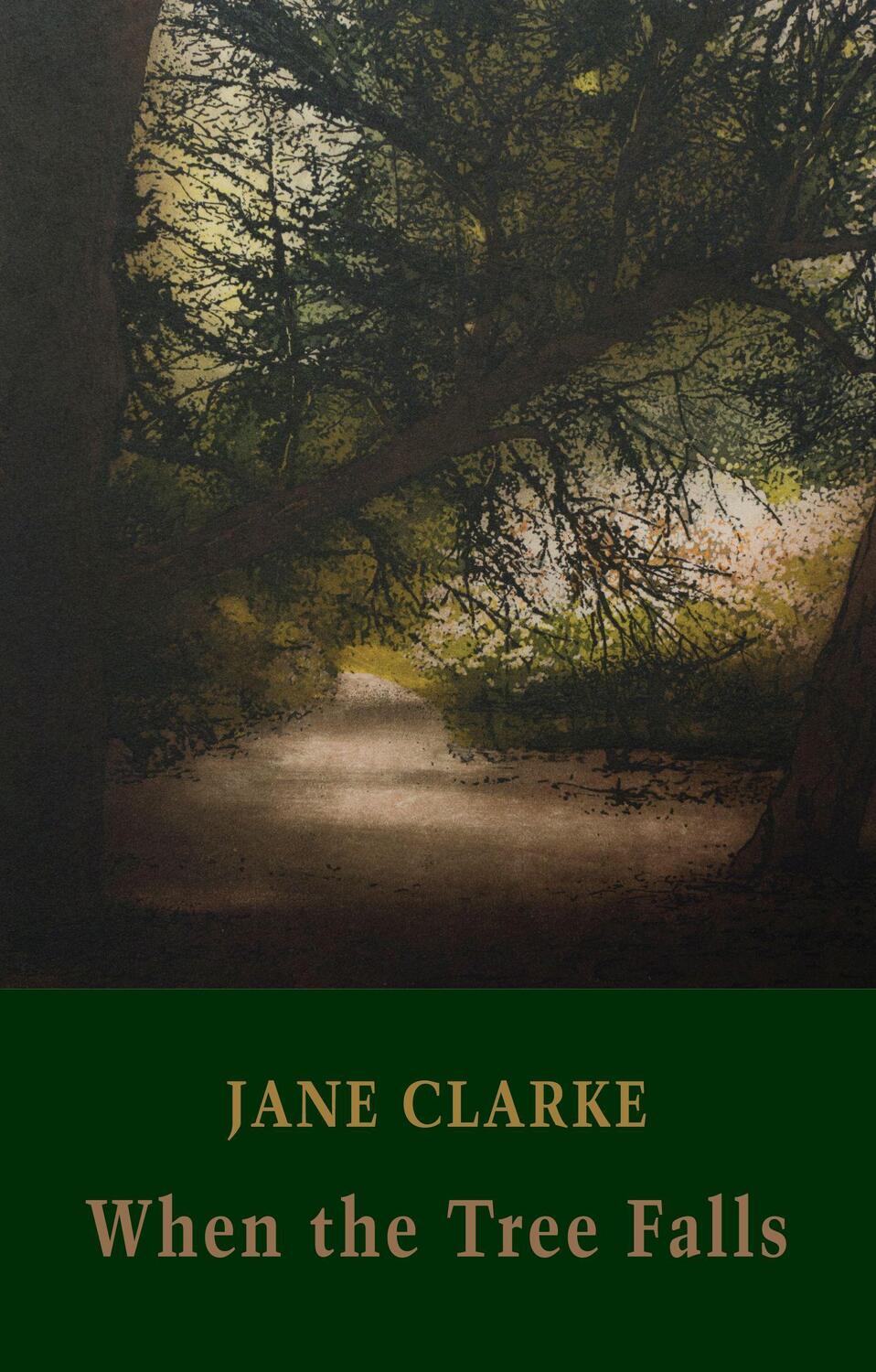 Cover: 9781780374802 | When the Tree Falls | Jane Clarke | Taschenbuch | Englisch | 2019