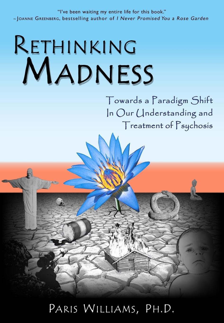 Cover: 9780984986705 | Rethinking Madness | Paris Williams | Taschenbuch | Paperback | 2012