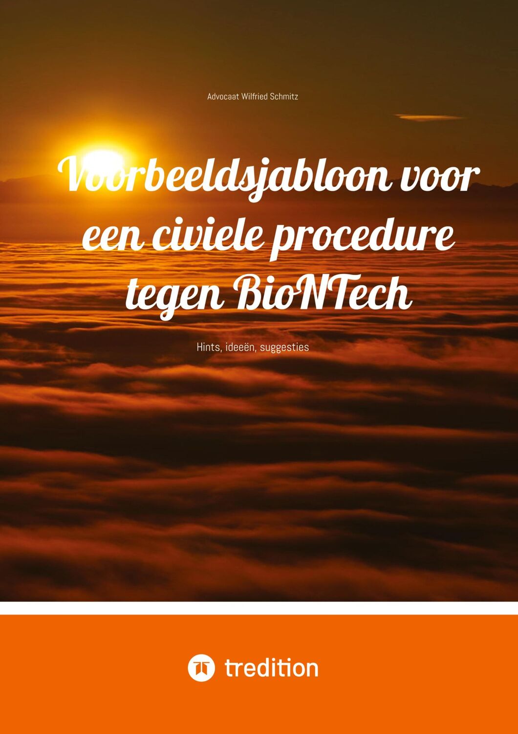 Cover: 9783384307422 | Voorbeeldsjabloon voor een civiele procedure tegen BioNTech | Schmitz