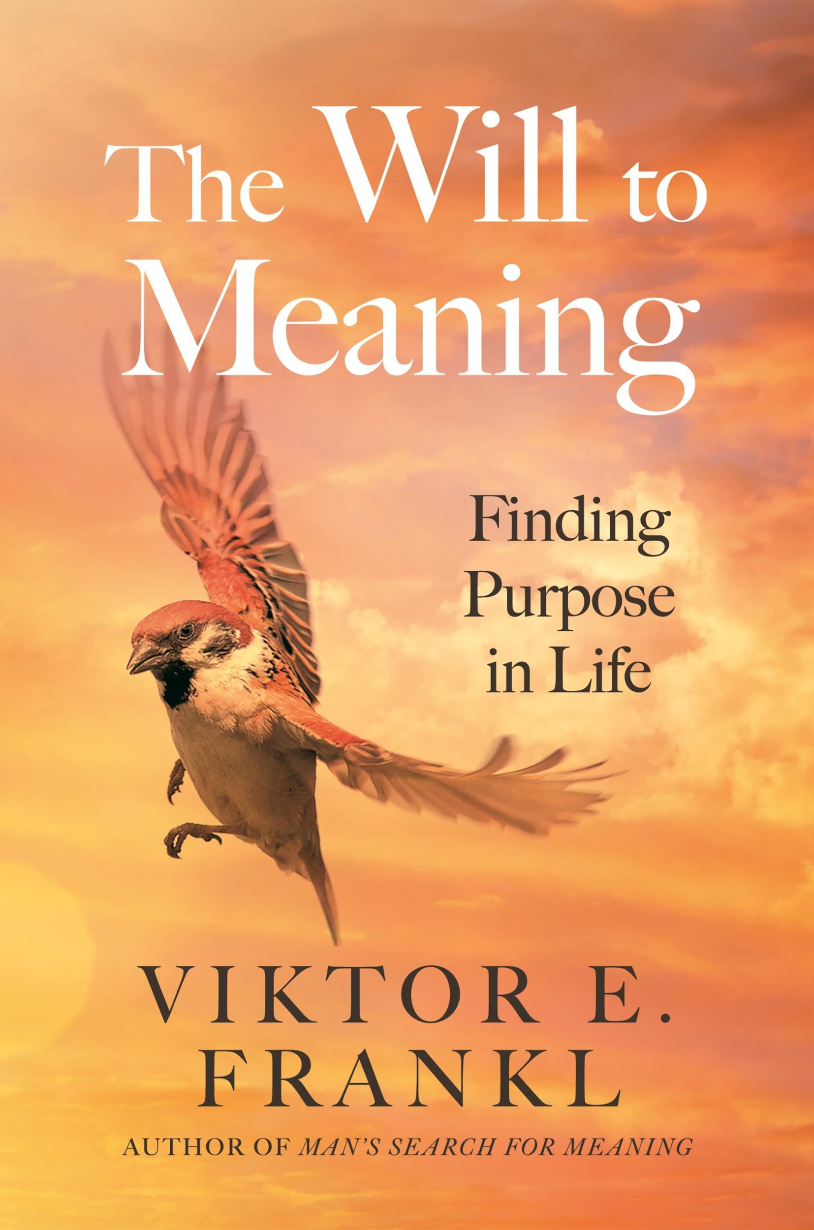 Cover: 9781805463801 | The Will to Meaning | Why Hope Triumphs Over Despair | Frankl | Buch