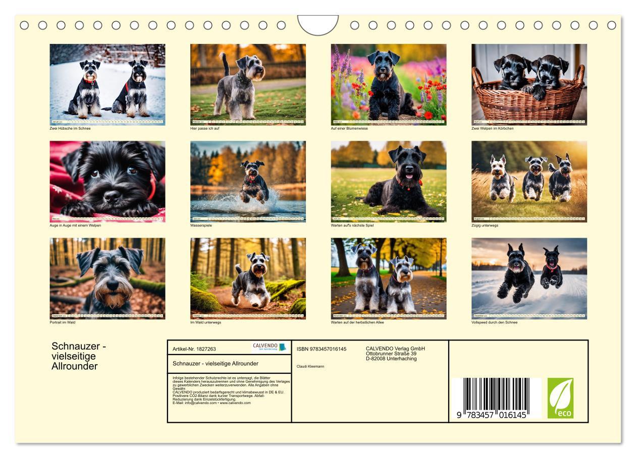 Bild: 9783457016145 | Schnauzer - vielseitige Allrounder (Wandkalender 2025 DIN A4 quer),...