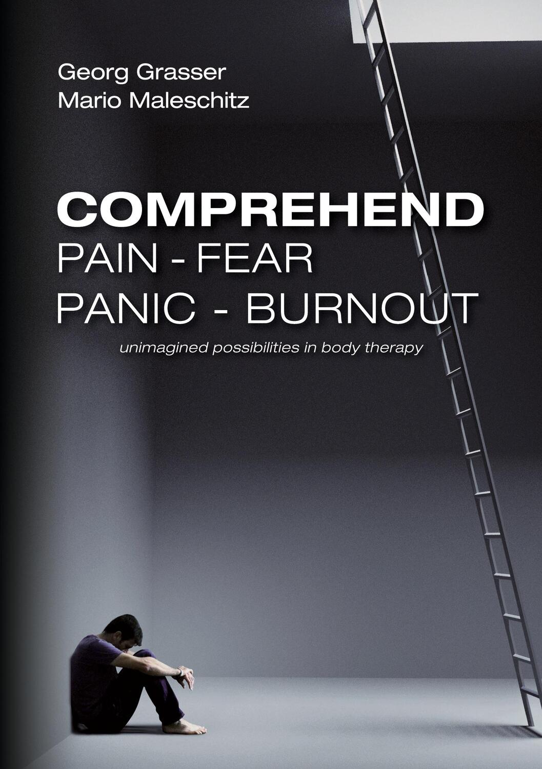 Cover: 9783753492865 | Comprehend Pain-Fear-Panic-Burnout | Mario Maleschitz (u. a.) | Buch