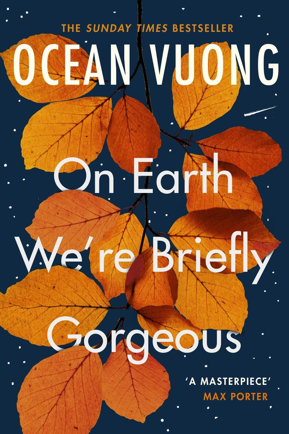 Cover: 9781529110685 | On Earth We're Briefly Gorgeous | Ocean Vuong | Taschenbuch | Englisch