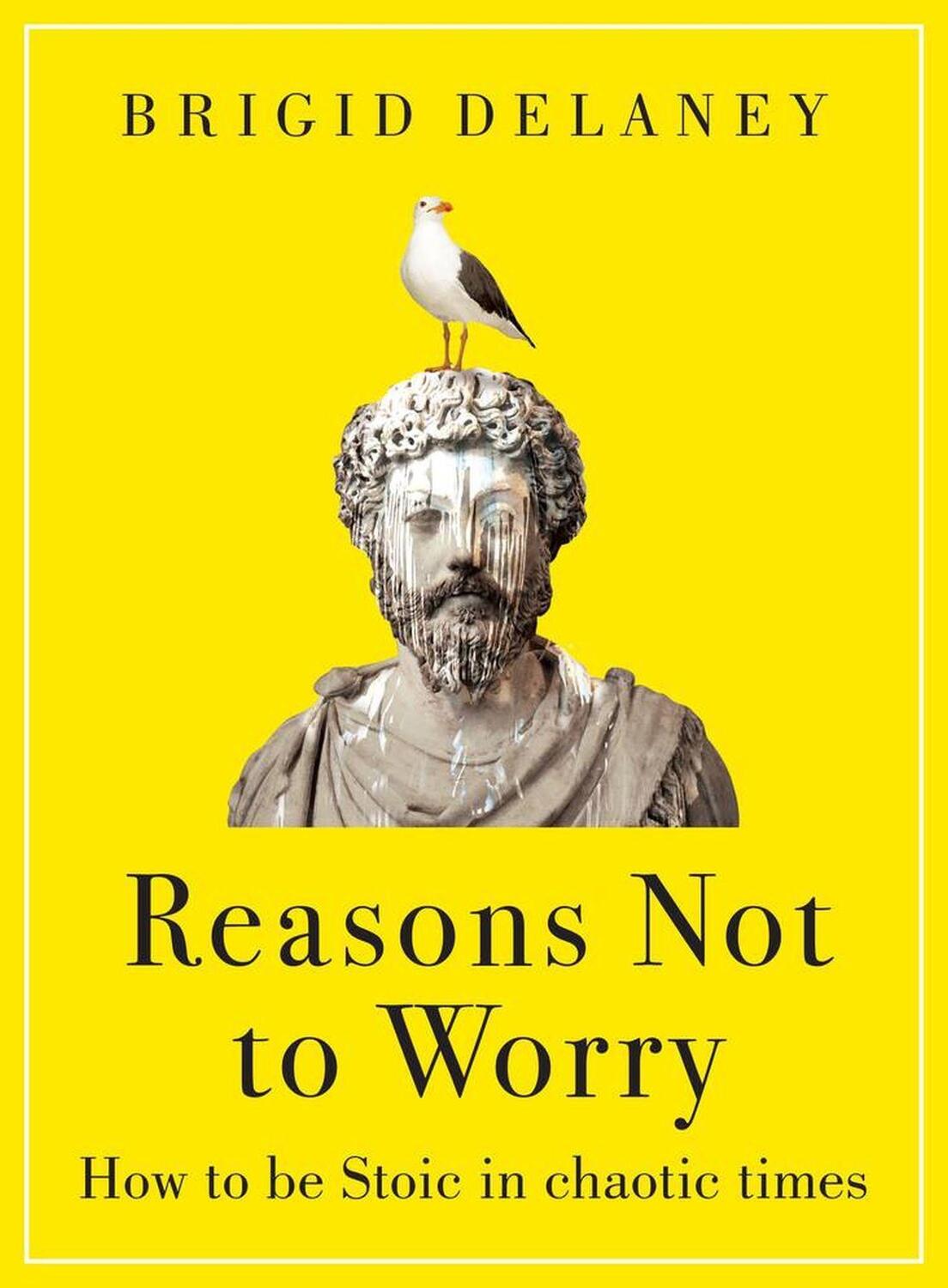Cover: 9780349436296 | Reasons Not to Worry | How to be Stoic in chaotic times | Delaney