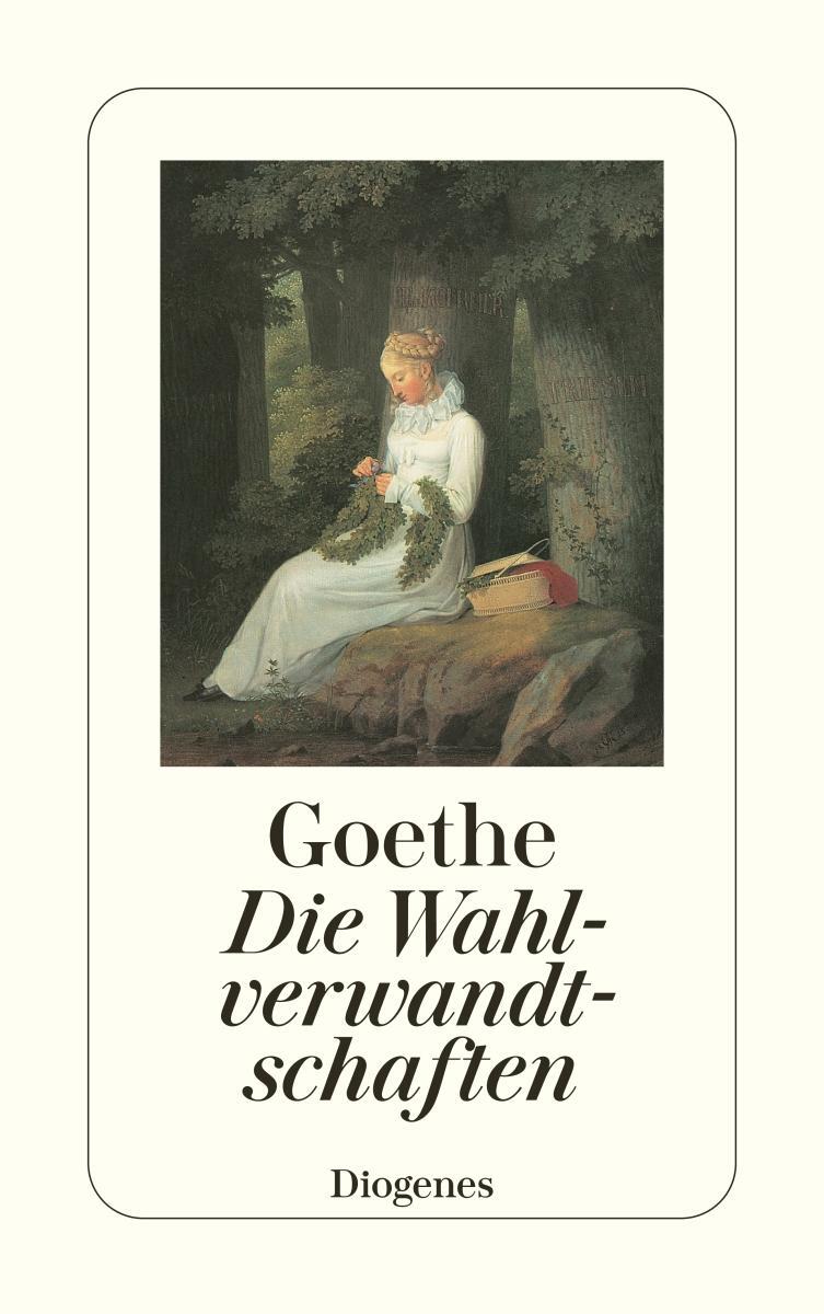Cover: 9783257228700 | Die Wahlverwandtschaften | Johann Wolfgang von Goethe | Taschenbuch