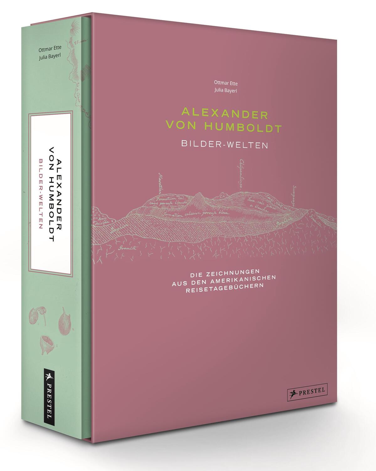Cover: 9783791383125 | Alexander von Humboldt - Bilder-Welten | Ottmar Ette (u. a.) | Buch