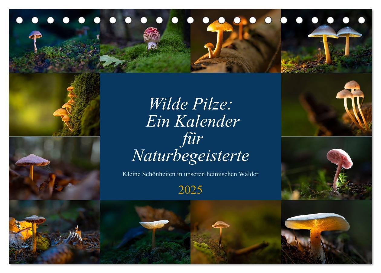 Cover: 9783457229781 | Wilde Pilze: Ein Kalender für Naturbegeisterte (Tischkalender 2025...