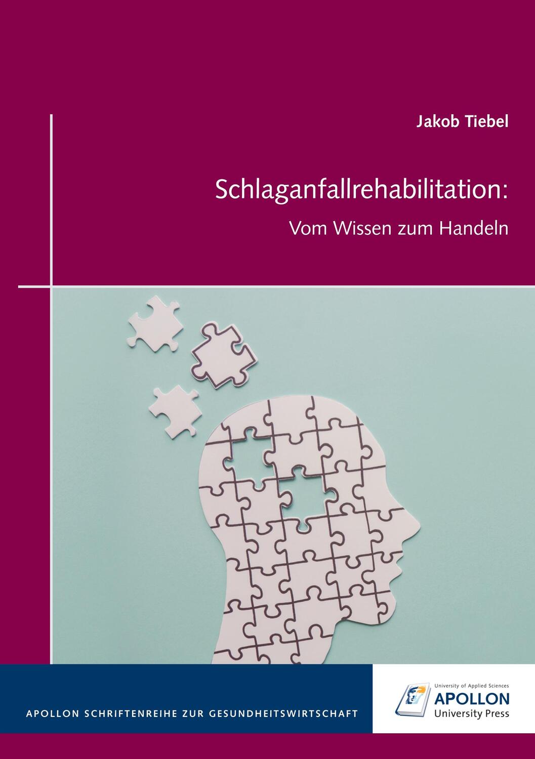 Cover: 9783943001600 | Schlaganfallrehabilitation | Vom Wissen zum Handeln | Jacob Tiebel