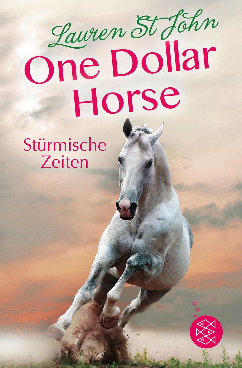Cover: 9783733501815 | One Dollar Horse, Band 3 - Stürmische Zeiten | Lauren St. John | Buch