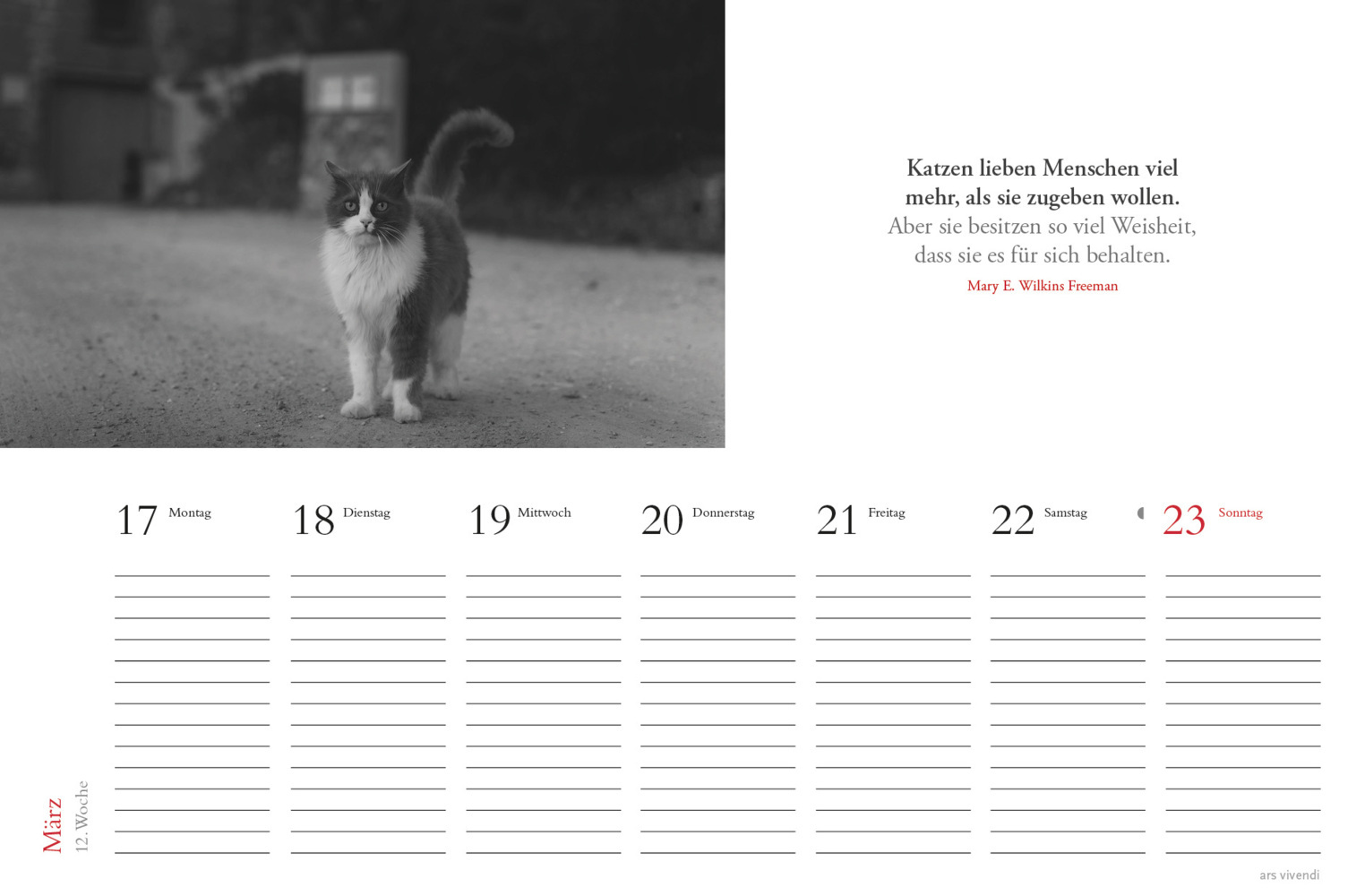 Bild: 9783747205716 | Tischkalender Katzen 2025 | Tischkalender | Kalender | 53 S. | Deutsch