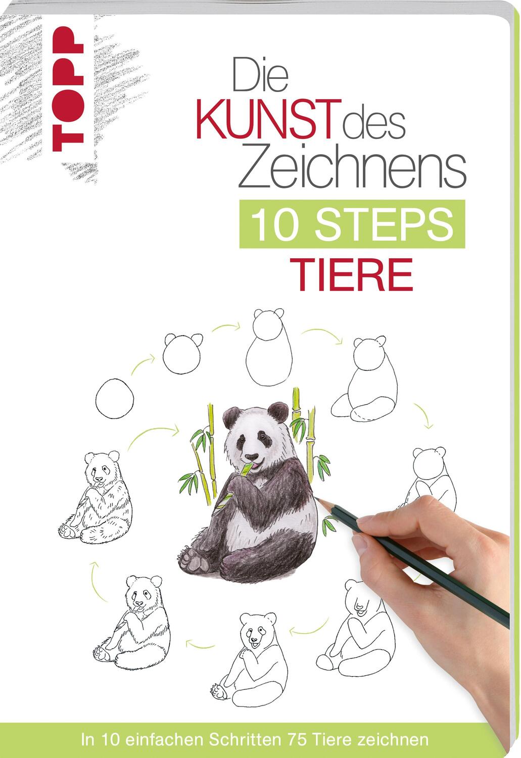 Cover: 9783772483912 | Die Kunst des Zeichnens 10 Steps - Tiere | Heather Kilgour | Buch