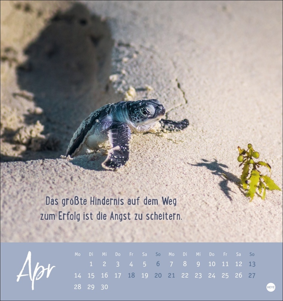 Bild: 9783756407132 | Never give up! Postkartenkalender 2025 | Kalender | Spiralbindung