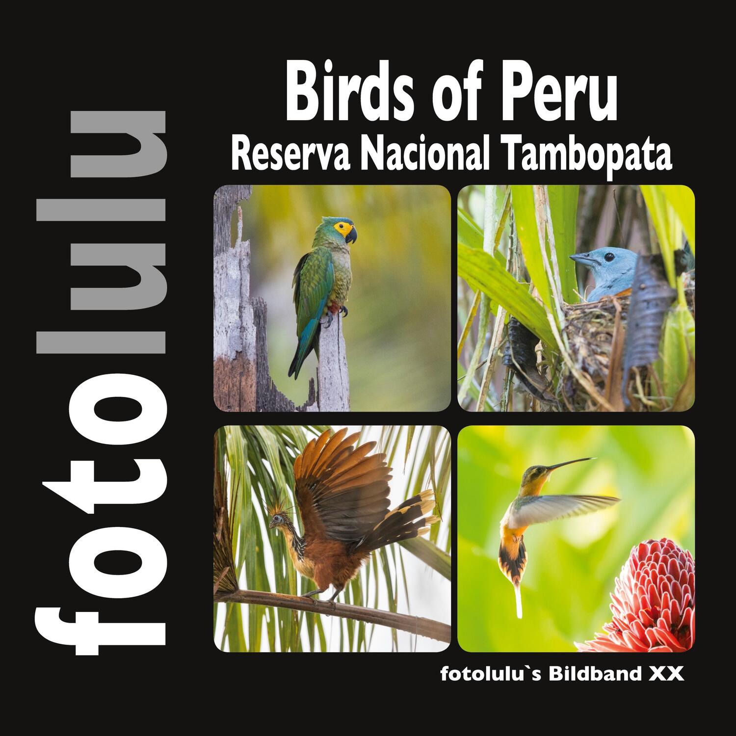 Cover: 9783756855384 | Birds of Peru | Reserva Nacional Tambopata | Sr. Fotolulu | Buch
