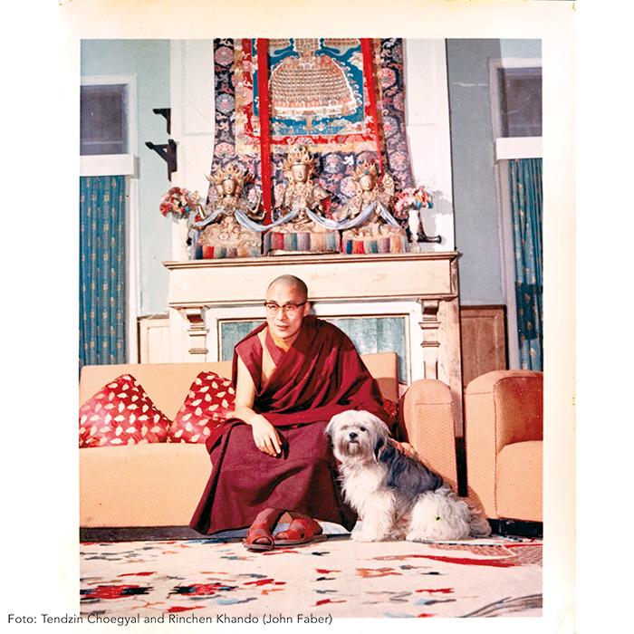 Bild: 9783458179030 | Dalai Lama | Eine illustrierte Biografie | Tenzin Geyche Tethong