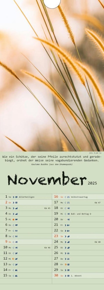 Bild: 9783948276355 | Spirit of Meditation. Kalender 2025 | Kalender | 14 S. | Deutsch