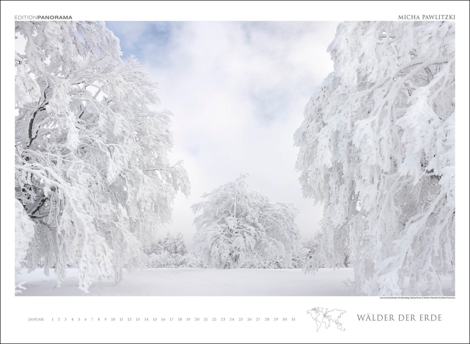 Bild: 9783898236218 | WÄLDER DER ERDE | Micha Pawlitzki | Kalender | XIII | Deutsch | 2024