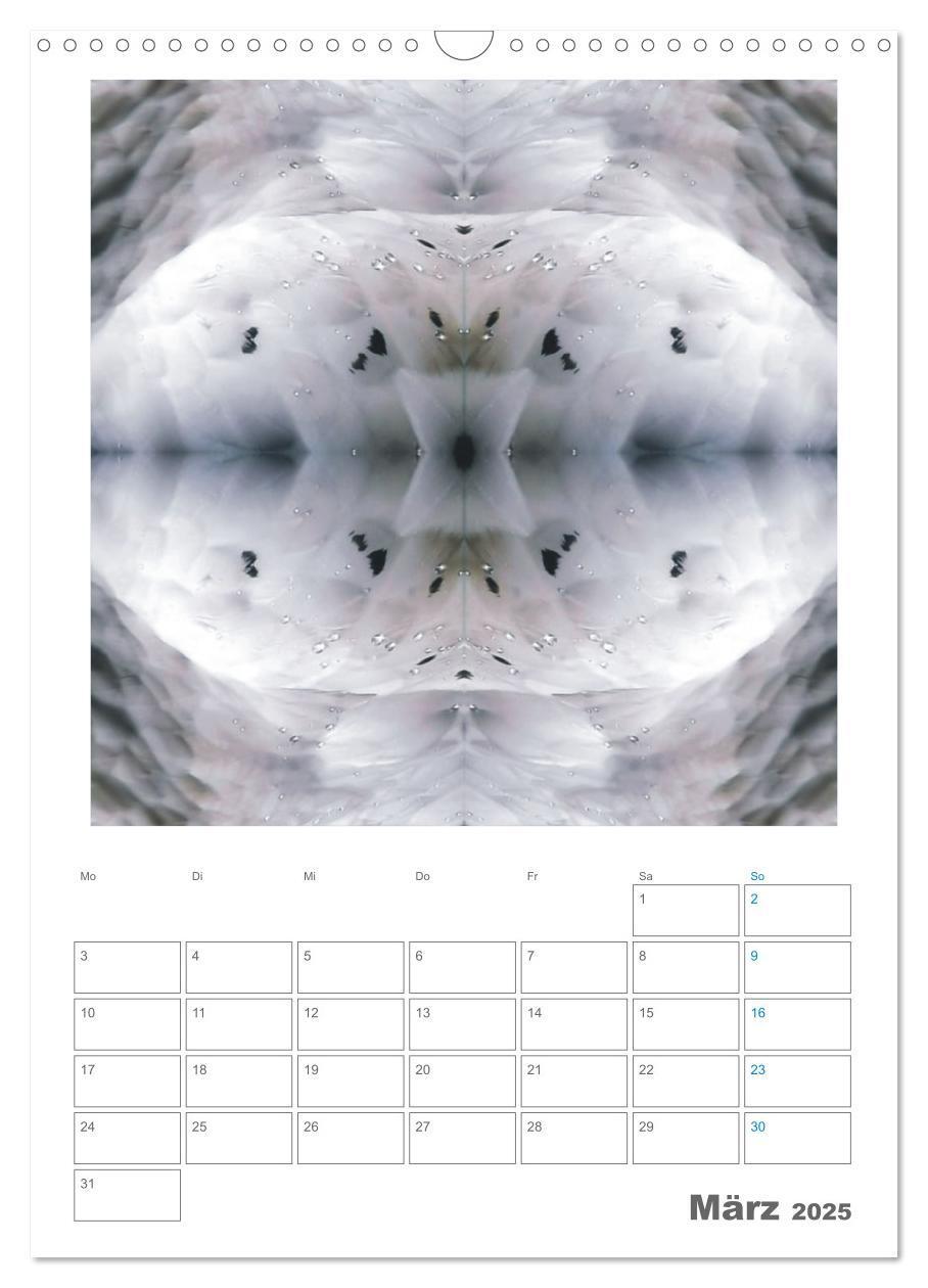 Bild: 9783435920242 | Axis Mater Naturae (Wandkalender 2025 DIN A3 hoch), CALVENDO...