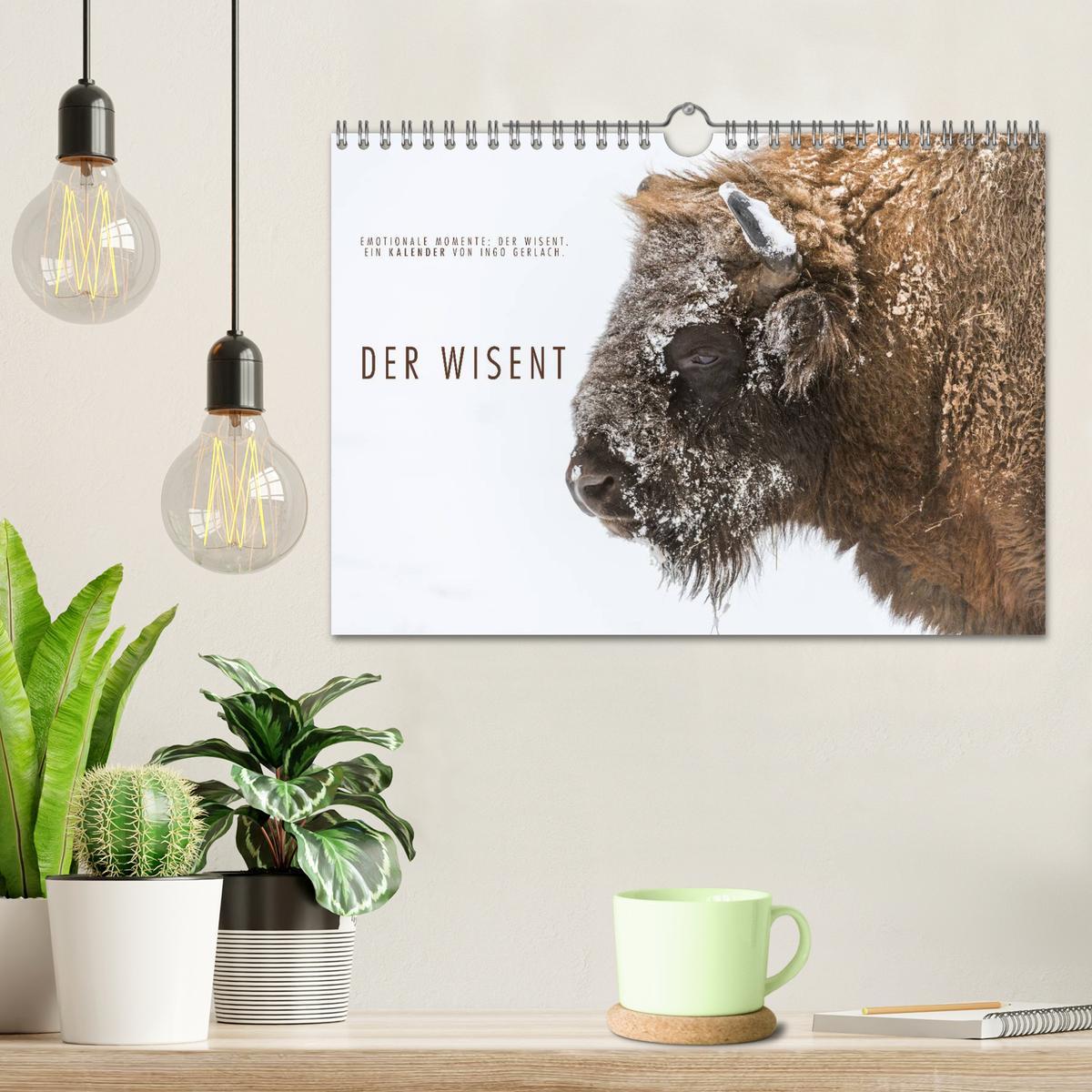 Bild: 9783435616510 | Emotionale Momente: Der Wisent. (Wandkalender 2025 DIN A4 quer),...