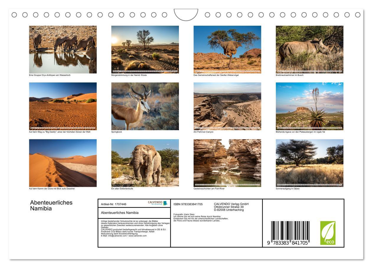 Bild: 9783383841705 | Abenteuerliches Namibia (Wandkalender 2025 DIN A4 quer), CALVENDO...