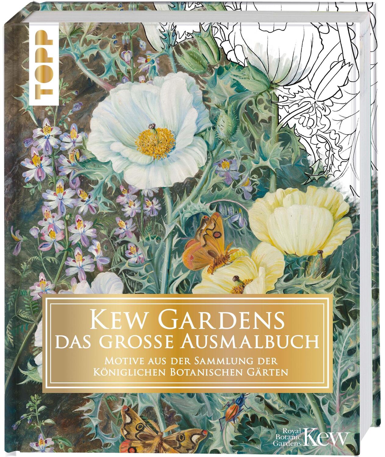 Cover: 9783772446849 | Kew Gardens - das große Ausmalbuch | Buch | Deutsch | 2021 | Frech