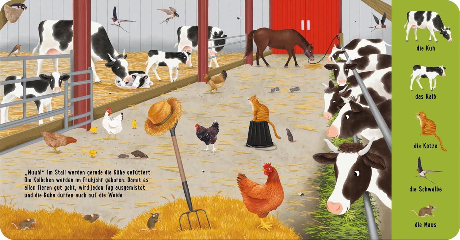 Bild: 9783480238613 | Mein erstes Natur-Wimmelbuch: Tiere auf dem Bauernhof | Schumann