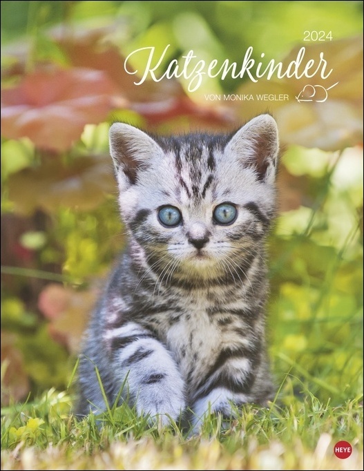 Cover: 9783756401598 | Katzenkinder Posterkalender 2024 von Monika Wegler....