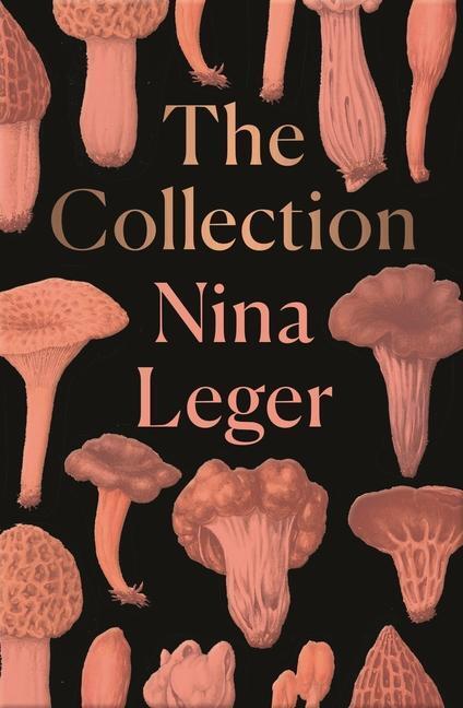 Cover: 9781846276866 | The Collection | Nina Leger | Taschenbuch | Englisch | 2019