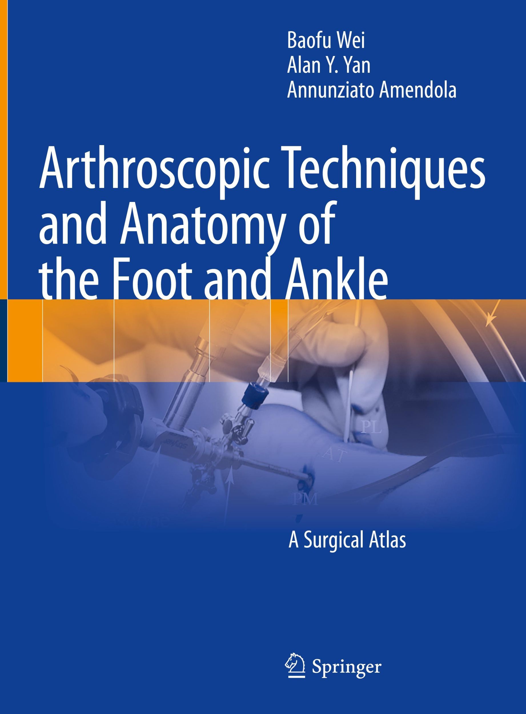 Cover: 9783031051890 | Arthroscopic Techniques and Anatomy of the Foot and Ankle | Buch