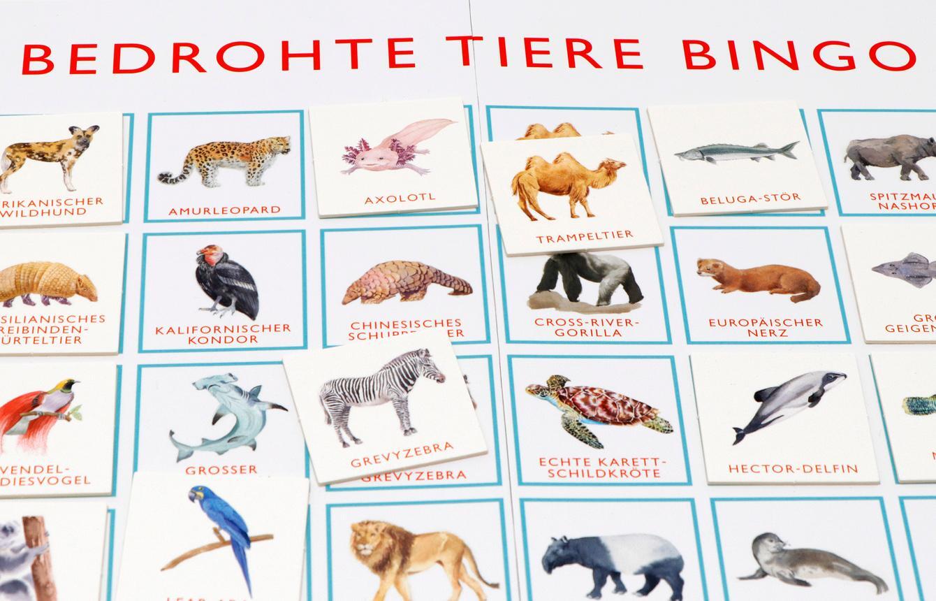 Bild: 9783962442088 | Bedrohte Tiere Bingo | 64 Tierarten, die wir retten müssen | Williams