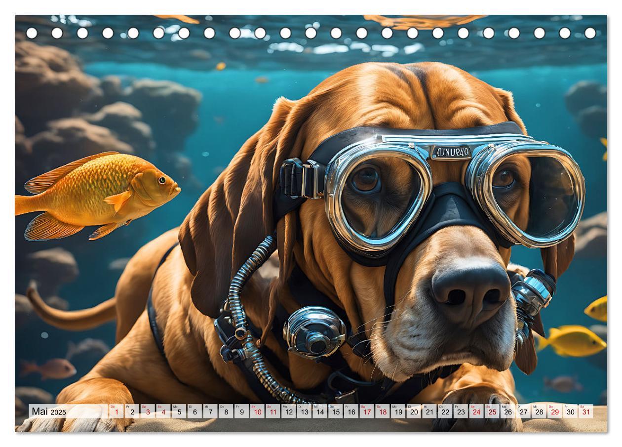 Bild: 9783383862083 | Hunde abgetaucht (Tischkalender 2025 DIN A5 quer), CALVENDO...