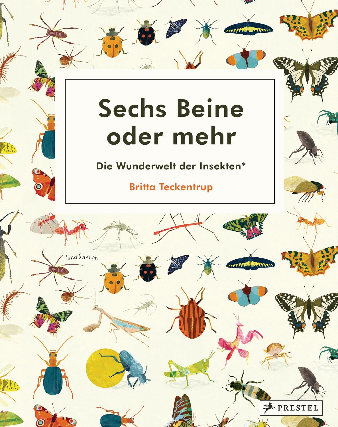Cover: 9783791374390 | Sechs Beine oder mehr - Die Wunderwelt der Insekten | Buch | 48 S.