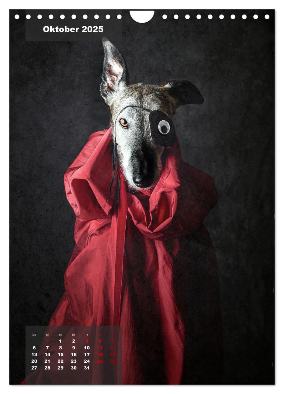 Bild: 9783435933419 | UNDERDOG - Windhundportraits (Wandkalender 2025 DIN A4 hoch),...