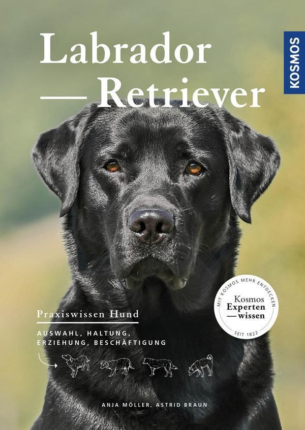 Cover: 9783440149355 | Labrador Retriever | Auswahl, Haltung, Erziehung, Beschäftigung | Buch