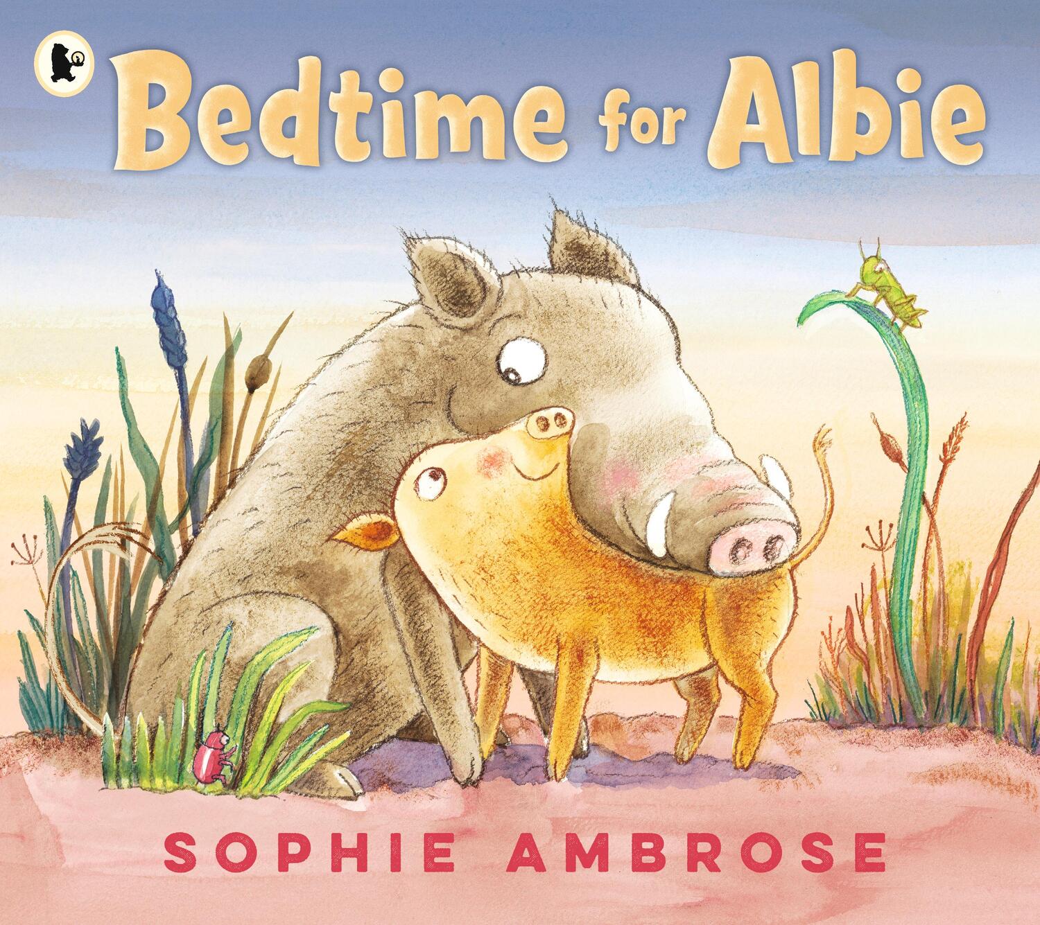 Cover: 9781406392883 | Bedtime for Albie | Sophie Ambrose | Taschenbuch | Englisch | 2020