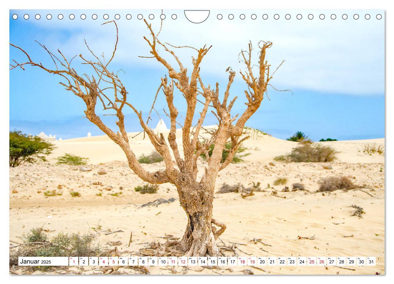 Bild: 9783435217304 | Boa Vista - die drittgrößte Kapverdische Insel (Wandkalender 2025...