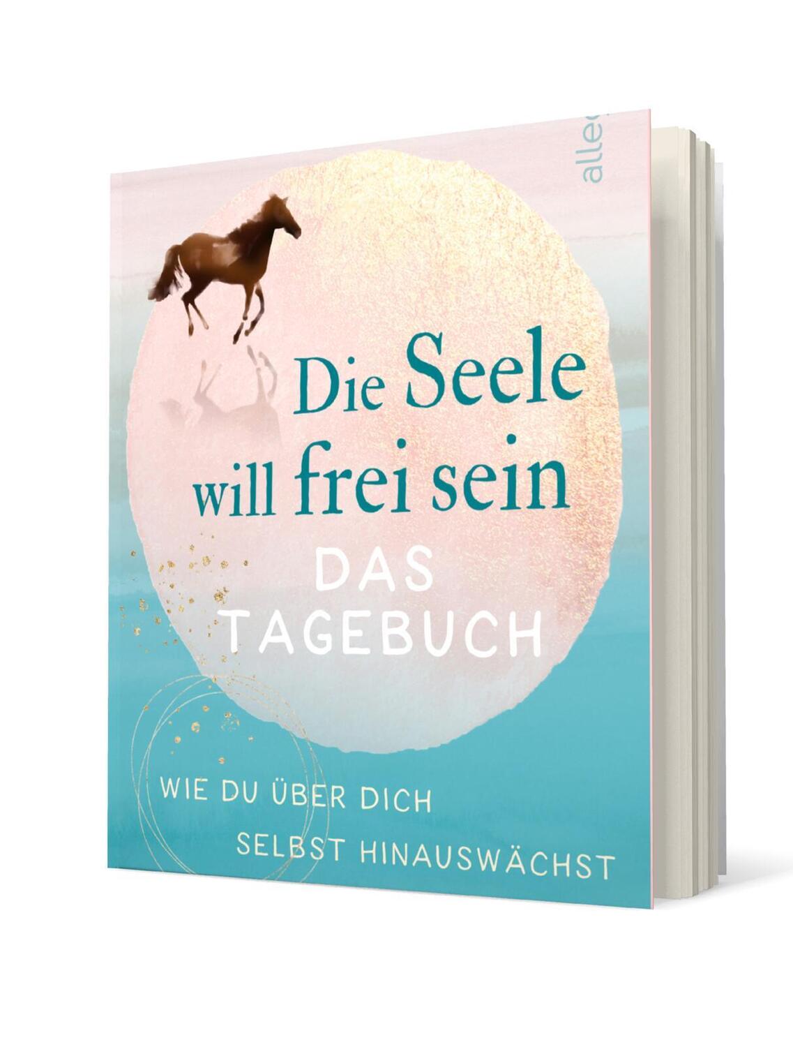 Bild: 9783793424345 | Die Seele will frei sein - Das Tagebuch | Michael A. Singer | Buch
